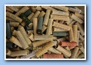 Bophilex_2009_Coins_Rolls